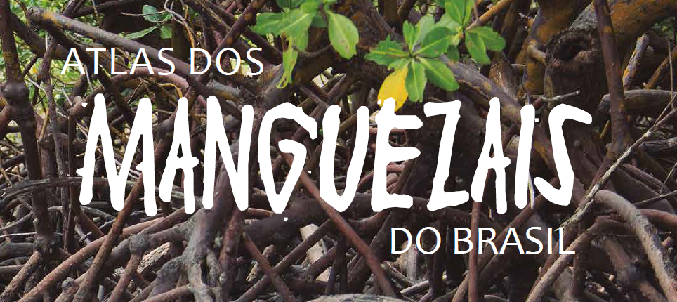 Atlas dos Manguezais do Brasil