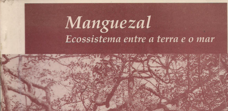 Manguezal: Ecossistema entre a Terra e o Mar